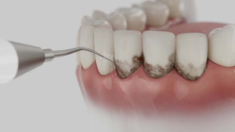 Reliable Dental contractor in Hampton, TN by Dentist Open Now